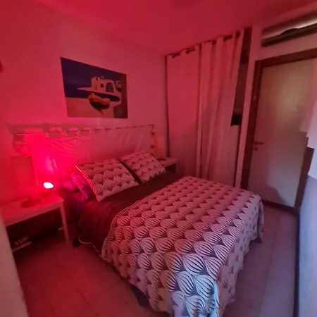 Little Emerald House